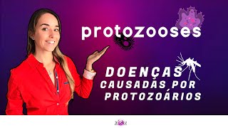 PROTOZOOSES  DOENÇAS DE PROTOZOÁRIOS  Prof Louise Medeiros [upl. by Chassin]