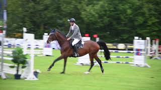 Reitturnier beim RFV Aufhausen Bernhard Karle führt durch den Parcours [upl. by Anabahs]