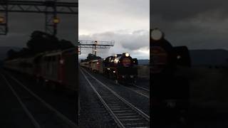 R761 A66 and N452 passing Clarkefieldtrain steamtrain [upl. by Nynnahs534]