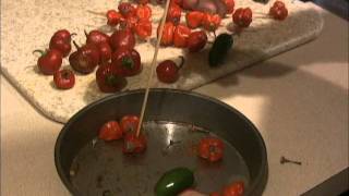 How To Smoking Habanero Chilis [upl. by Alburga817]