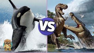 Orca vs Deinosuchus Giant Alligator Who Would Win [upl. by Siana463]