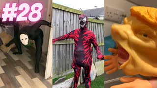 Soggy Nugget Tiktok Compilation  Official Archives Part 28 [upl. by O'Donoghue]