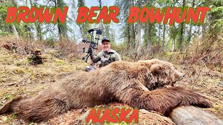 MASSIVE BROWN BEAR Coastal Grizzly BOWHUNT ALASKA [upl. by Bertold]