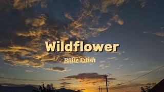 Billie Eilish  Wildflower 🕊️🍀 lyrics [upl. by Lotta915]