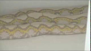 Ghost Reticulated Python [upl. by Hudnut828]