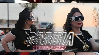 Cheba Warda × Tchikou 22  Gariha Tebrad و نتا آخر همي  Official Music Video   2024 [upl. by Gruber]