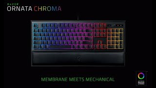 Razer Ornata Chroma светится но не работает Отключение демонстрационного режима РЕШЕНИЕ 2020 [upl. by Nicola]