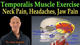 Temporalis Muscle Massage for Fast Pain Relief of Neck Head and Jaw  Dr Alan Mandell DC [upl. by Kilam]