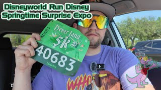 Disney World RunDisney Springtime Surprise Expo HONEST review [upl. by Nyrak854]