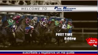 Delta Downs Pen National en vivo 121124 [upl. by Halyahs367]