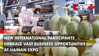 New International Participants Embrace Vast Business Opportunities at Hainan Expo [upl. by Redwine258]