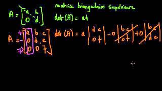 Déterminant dune matrice triangulaire supérieure [upl. by Aliahs]