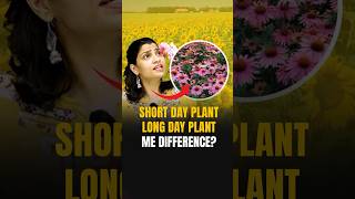 Short Day Plant Vs Long Day Plant Vs Day Neutral Plant riturattewal neet2024 [upl. by Oelak]