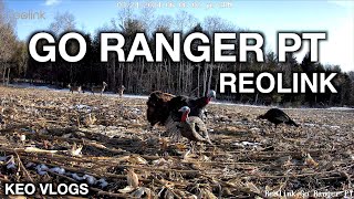 The ALL NEW Go Ranger PT Trail Camera With AI Technology [upl. by Alayne]