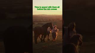 Spending time with the horses foryou shortsyoutube horse friesian minihorse [upl. by Gaulin]