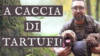 CACCIA AL TARTUFO CON LAGOTTO tartufi tartufo cucina ricette italianfood bosco trifola [upl. by Hope]