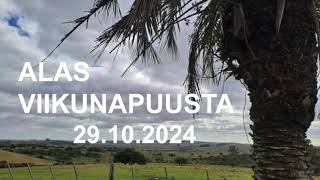 quotAlas viikunapuustaquot Hilkka IsoRaution hartaus 29102024 [upl. by Marjana]