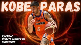 KOBE PARAS Pinoy Hoops Sensation  BLeague Highlights  Niigata Albirex BB 新潟アルビレックスBB [upl. by Nitsu]