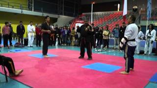 light combat cinturones negros seleccionado nacional vs instructor de taekwondo [upl. by Leyameg774]