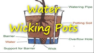 Water Wicking Pots [upl. by Avek]