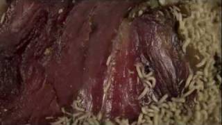 time lapse maggots eating meat HD [upl. by Ylrebmik]