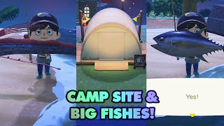 Campsite amp Big Fish  Animal Crossing New Horizons [upl. by Rai]