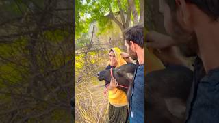 Kanu Buddy Aathma Thali Nisha Meena Gani video funny comedy farming flimy flimflim fli￼ [upl. by Annaerdna]