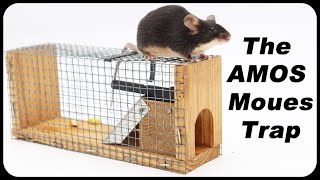 I Love This Mouse Trap Idea  The AMOS Machine Mousetrap Catches Mice in the barn Mousetrap Monday [upl. by Yeliak]