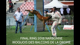 Iroquois des Balcons de la Drome  Final ring 2018 Narbonne [upl. by Franciska]