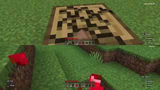 Minecraft coop S1 Ep1 [upl. by Ellimak]