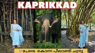 Kodanad 🐘  Abhayaranyam EcoTourism  Kaprikad Elephant Training Centre  Ernakulam Tourist places [upl. by Bonni]