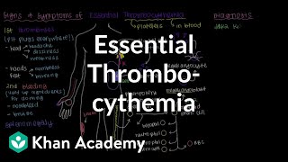 What is essential thrombocythemia  Hematologic System Diseases  NCLEXRN  Khan Academy [upl. by Dobb]