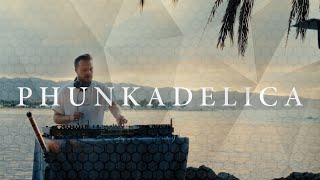 Phunkadelica  Haleiwa Beach Oahu Hawaii  Indie Dance  House Full Set  Centered Series 014 [upl. by Yggep]