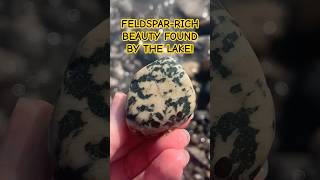 Plucked this unique mystery rock from Lake Erie rockhounding lakeerierocks shorts geology [upl. by Aennyl]