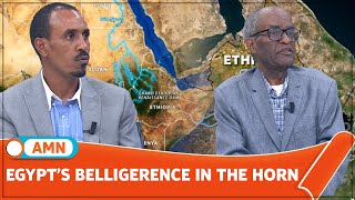 EGYPT’S BELLIGERENCE IN THE HORN [upl. by Aihsal]