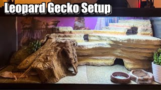 New Leopard Gecko Setup  DIY Hide [upl. by Yadahs]