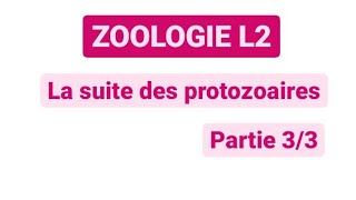 Zoologie  les protozoaires  dernière partie L2 biologie [upl. by Nedi]