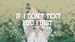 Vietsub  Lyrics Tiffany Day  IF I DONT TEXT YOU FIRST [upl. by Cassidy]