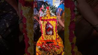 Flowers festival bathukamma celebrations telengana [upl. by Rialc796]