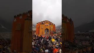 kedarnath Opening  Kedarnath Doli Reached Temple kedarnath [upl. by Arihsat]