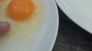 Difference between a fertilised and unfertilised chicken egg [upl. by Onailime]