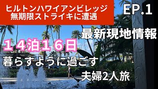 【最新ハワイ】半年ぶり❣️14泊16日夫婦旅のスタート😀ヒルトンはストライキ真っ最中😅EP1 [upl. by Cutty]