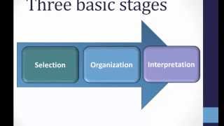 Perception Basics [upl. by Ennovi]