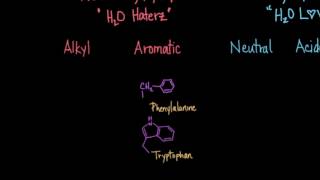 Classification of Amino Acids [upl. by Cram]