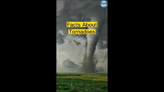 Facts About Tornadoes shorts [upl. by Cleodel]