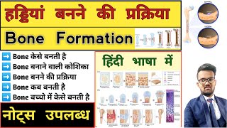 Bone Formation  Osteogenesis  Ossification  Anatomy and physiology  Anatomy Notes  Bone Notes [upl. by Isherwood]