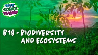 AQA GCSE 91 B18  Biodiversity and Ecosystems [upl. by Naedan]