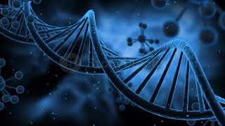 The Structure and Components of DNA [upl. by Enylorac]