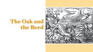 The Oak and the Reed [upl. by Engud401]