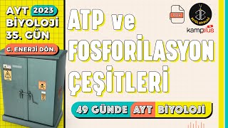 35 ATP ve Fosforilasyon Çeşitleri  12 Sınıf  2023 AYT Biyoloji Kampı 35 Gün [upl. by Nhguahs]